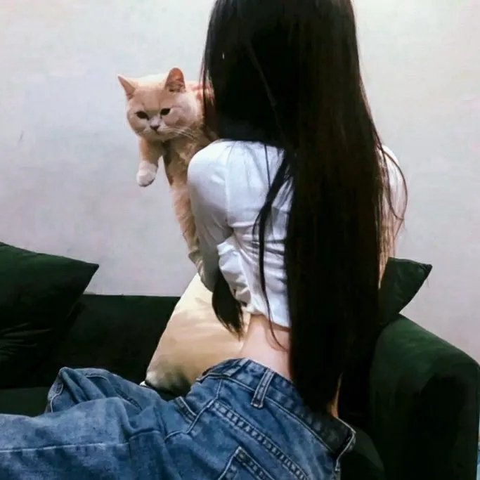 冲锋飞车队